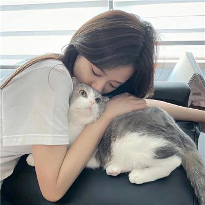 三只流浪猫